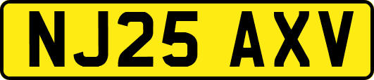 NJ25AXV