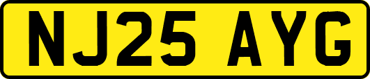 NJ25AYG