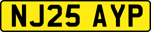 NJ25AYP