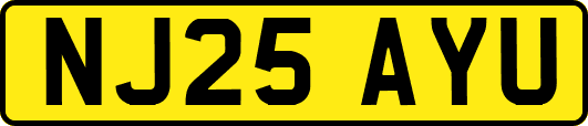 NJ25AYU