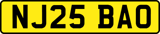 NJ25BAO