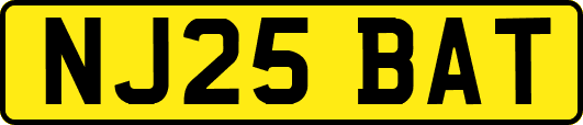 NJ25BAT