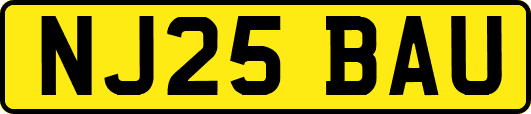 NJ25BAU