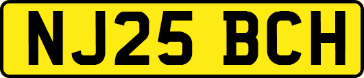NJ25BCH