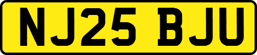 NJ25BJU