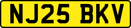 NJ25BKV