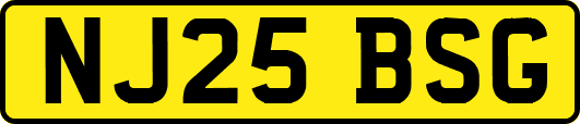 NJ25BSG