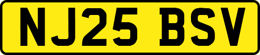 NJ25BSV