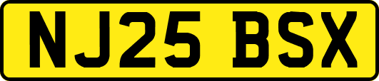 NJ25BSX