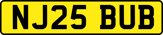 NJ25BUB