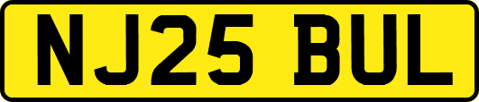 NJ25BUL