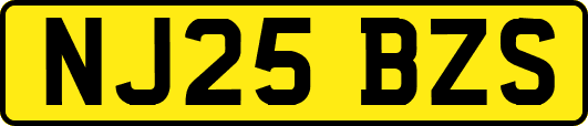NJ25BZS