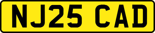 NJ25CAD