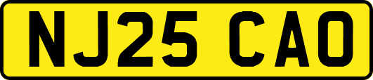 NJ25CAO