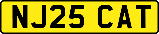 NJ25CAT