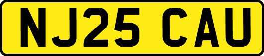 NJ25CAU