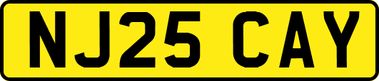 NJ25CAY