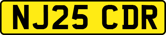 NJ25CDR