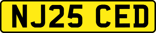 NJ25CED