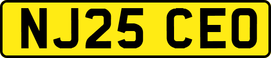 NJ25CEO