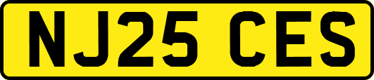 NJ25CES