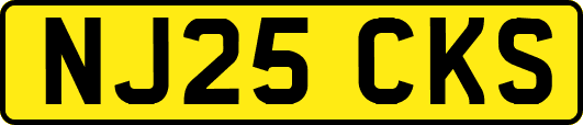 NJ25CKS