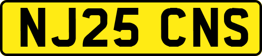NJ25CNS