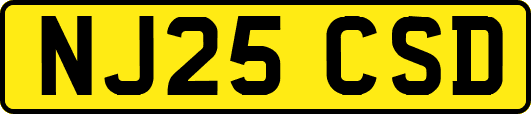 NJ25CSD