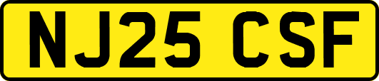 NJ25CSF