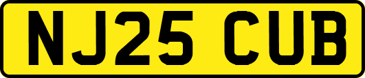 NJ25CUB
