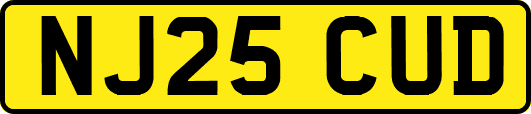 NJ25CUD