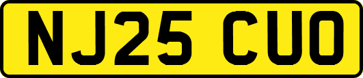 NJ25CUO