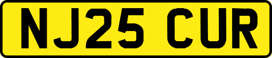 NJ25CUR