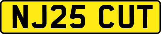 NJ25CUT