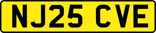 NJ25CVE