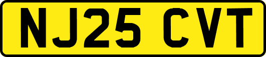 NJ25CVT