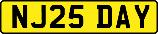 NJ25DAY