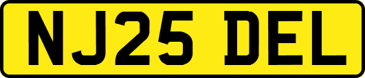 NJ25DEL