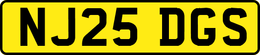 NJ25DGS
