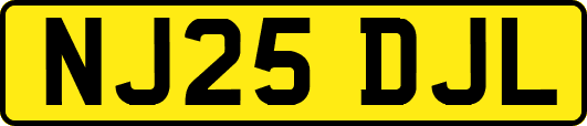NJ25DJL