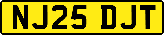 NJ25DJT