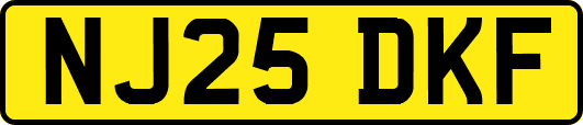 NJ25DKF