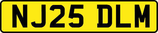 NJ25DLM
