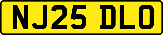 NJ25DLO