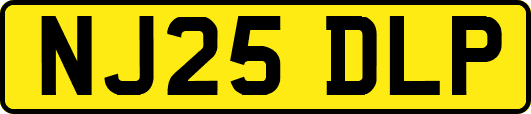 NJ25DLP
