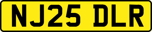 NJ25DLR