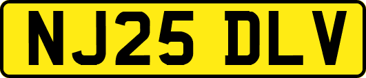NJ25DLV