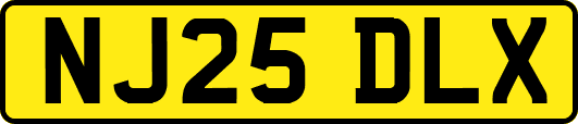 NJ25DLX