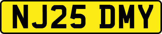 NJ25DMY