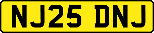 NJ25DNJ